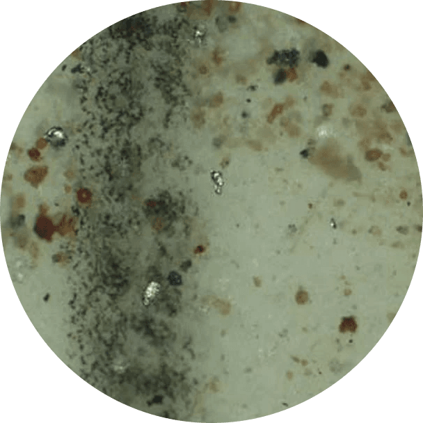 Contamination in Pulp & Paper Mills Contamination in Pulp & Paper Mills